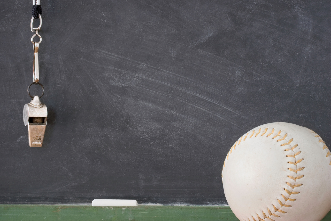 Softball Coach